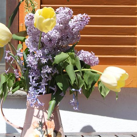 Luna Asti Ngoại thất bức ảnh